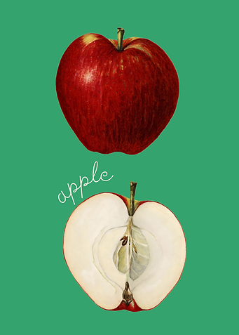 Red Apple Illustration