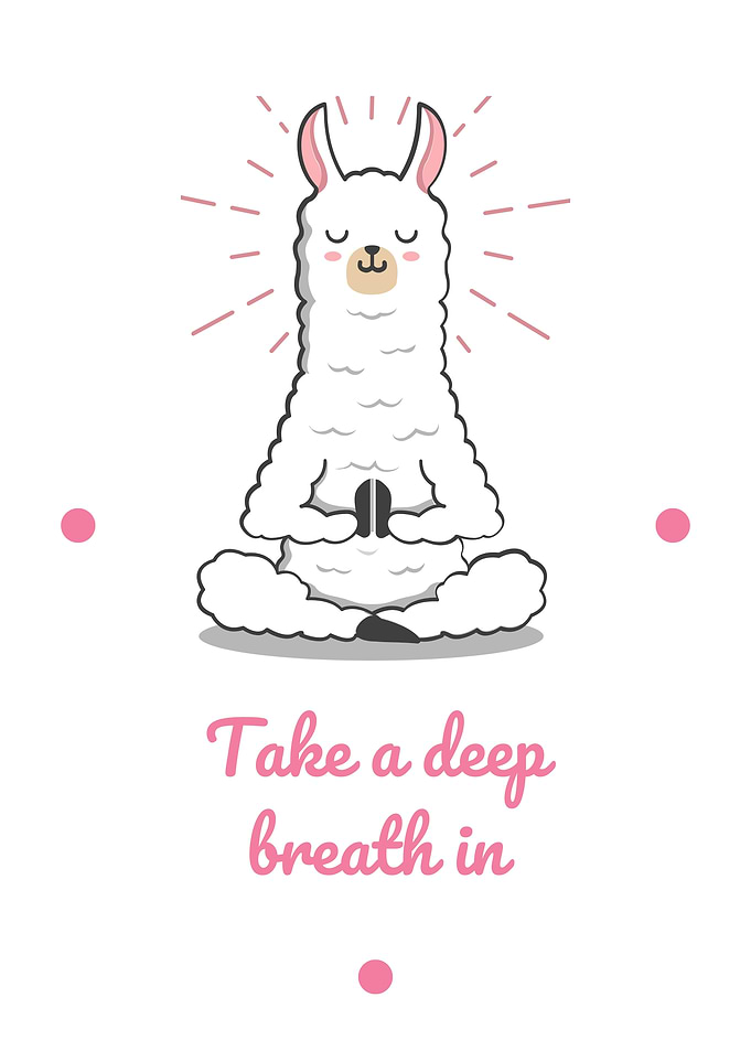 Meditating Llama
