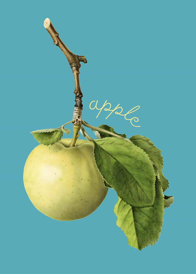 Green Apple Illustration