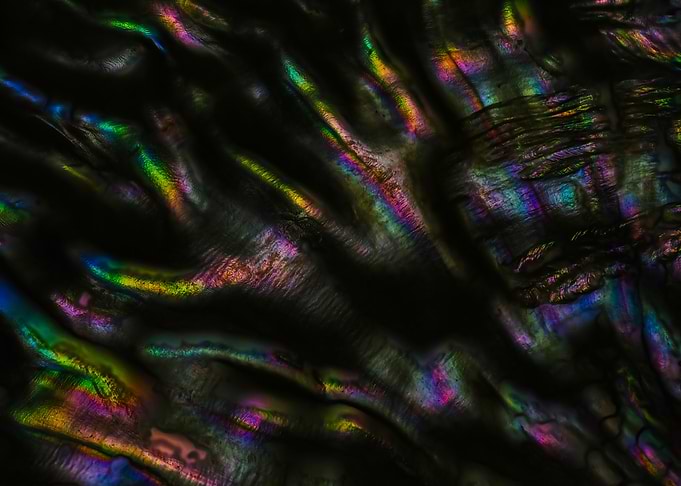 Black Iridescent Abstract Photography