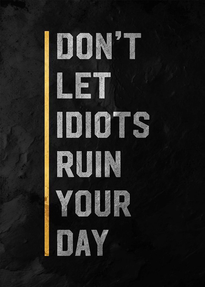 Don't Let Idiots Ruin Your Day