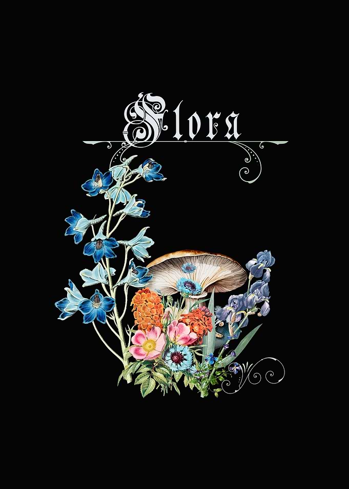 Dark Flora Illustration with Mushroom