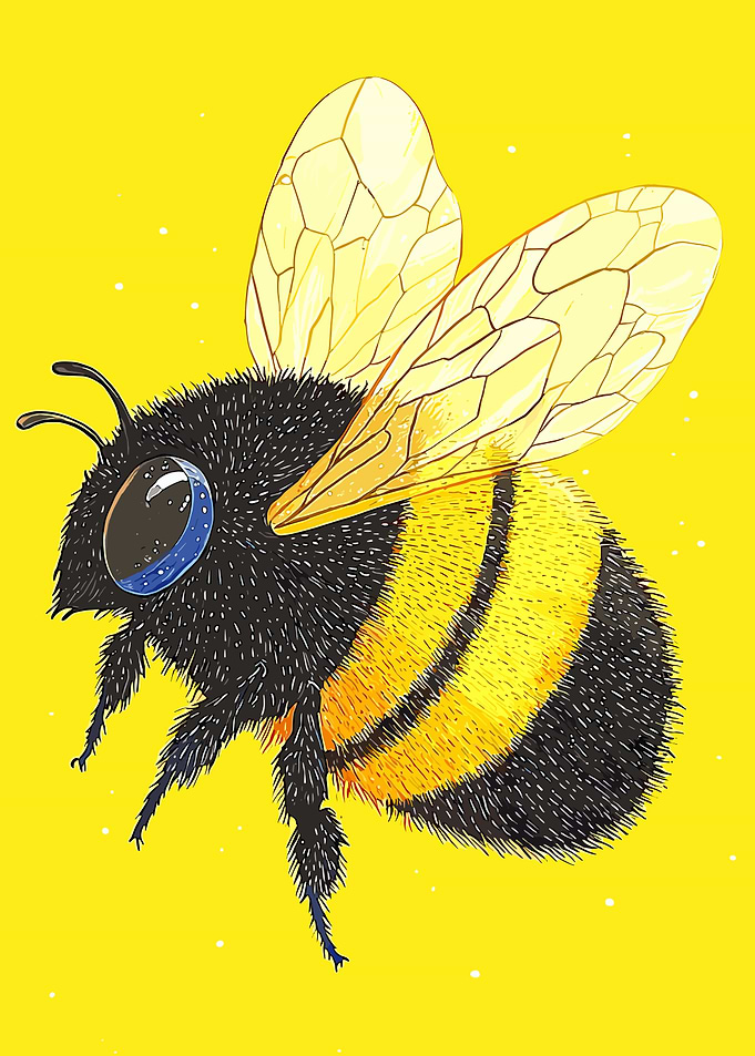 Bumblebee Illustration