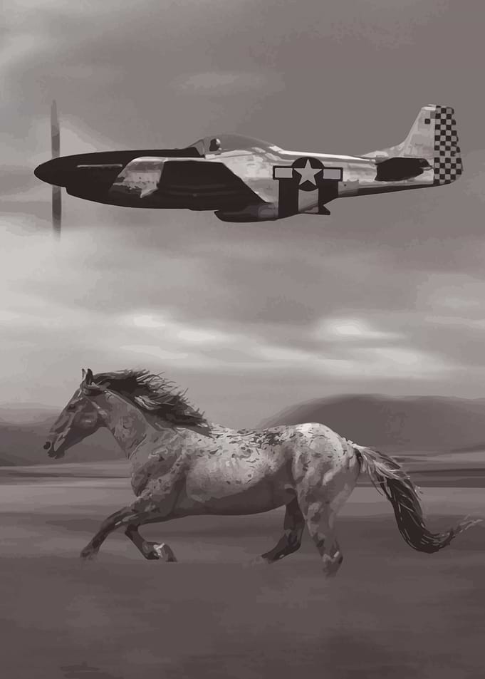 Mustang jet plane & Horse