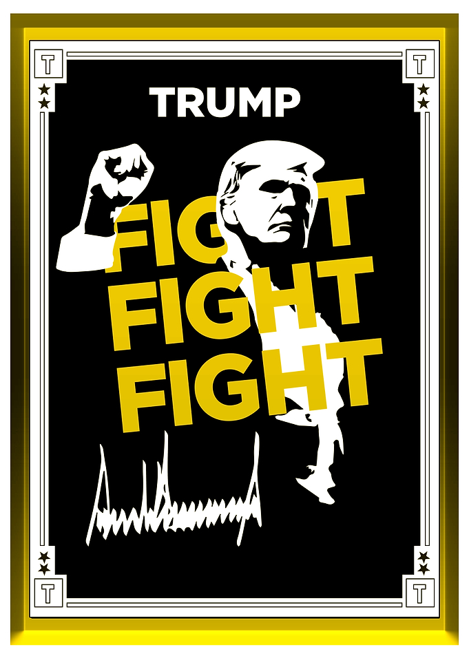 Trump Coin Wall Art