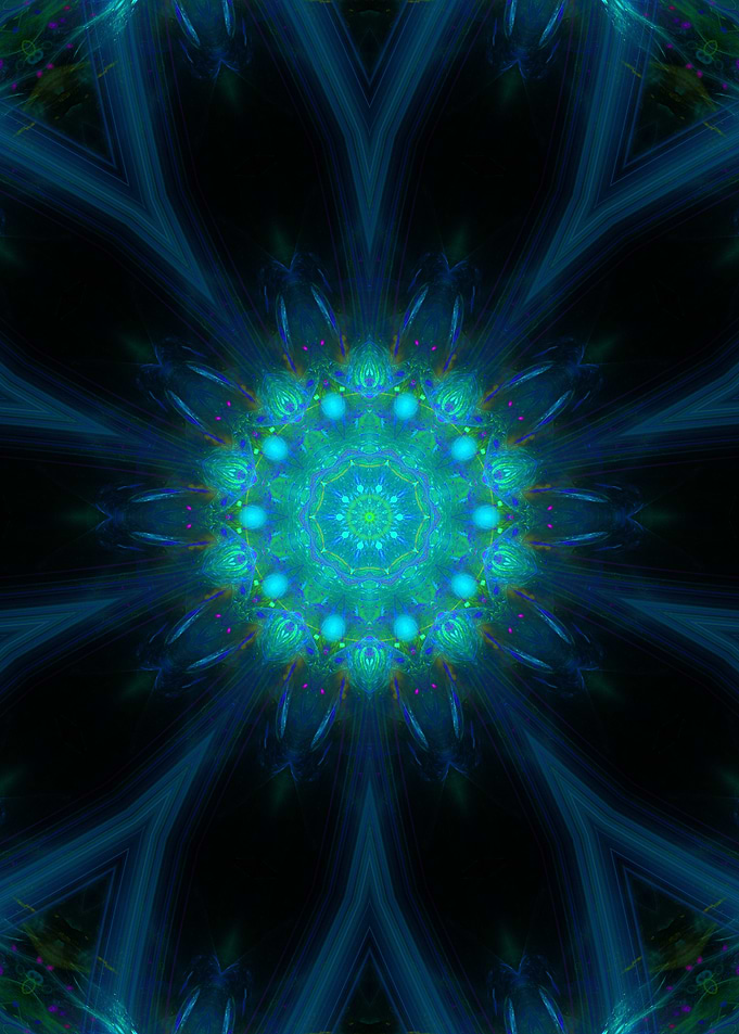 Blue Blossom