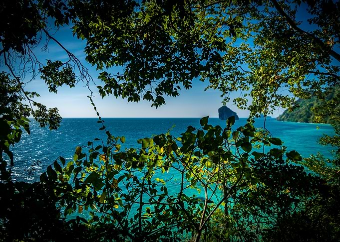 Tropical Island View