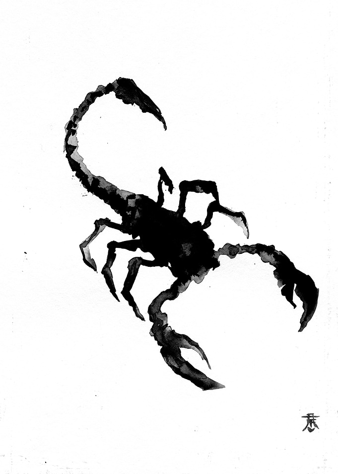 Black Ink Scorpion