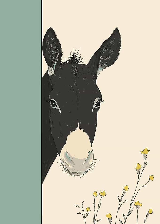 Donkey Portrait
