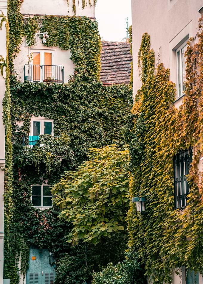 Vienna 009