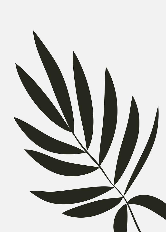 Black and White Palm Leaf