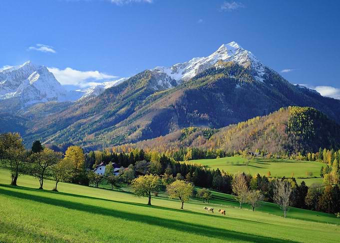 Mountain Meadow Landscape