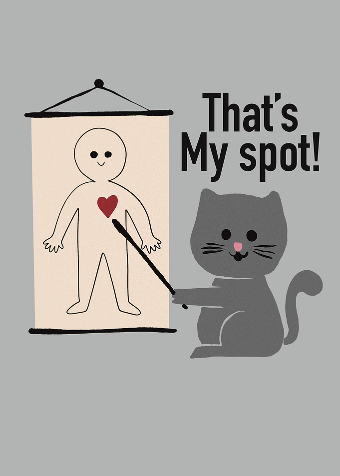 Cat's Spot