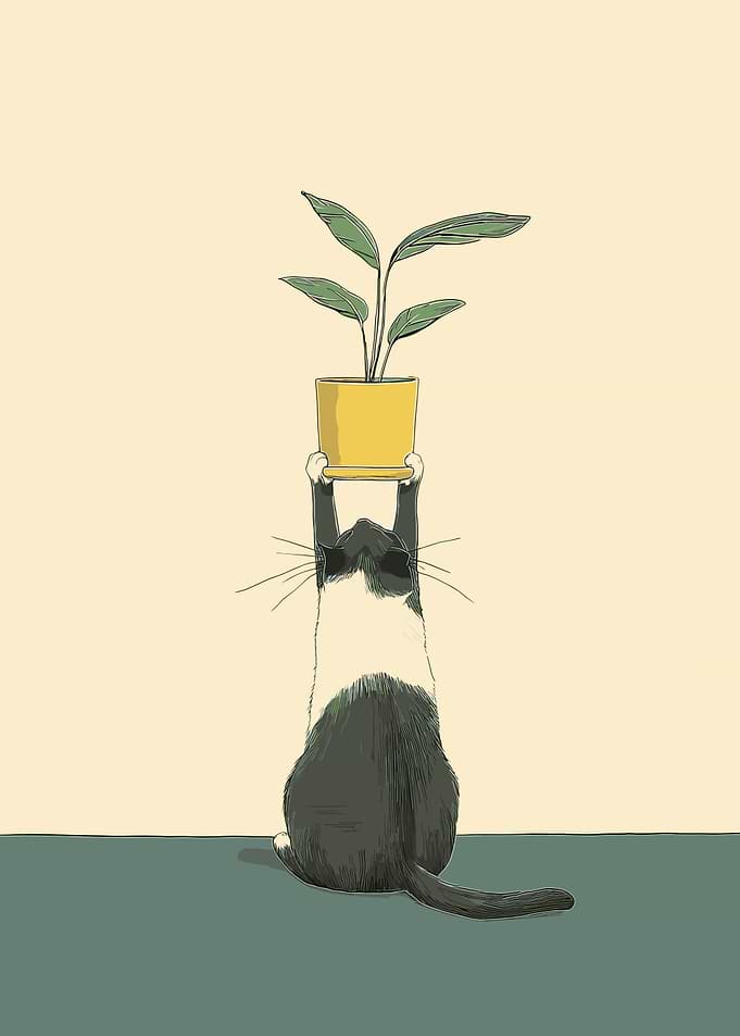 Cat Holding Plant