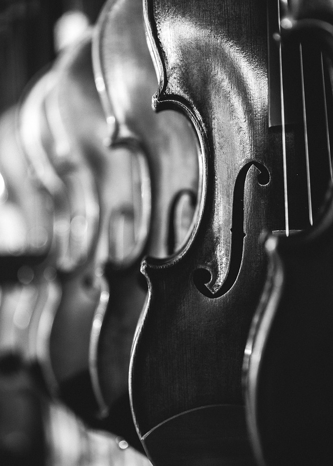 Violin Close-Up