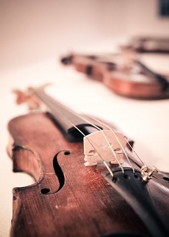 Violin Close-Up