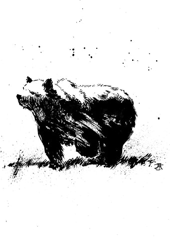 Black Ink Bear