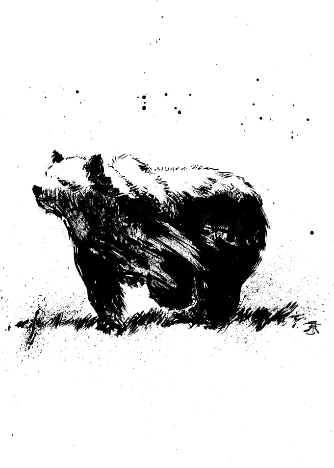 Black Ink Bear