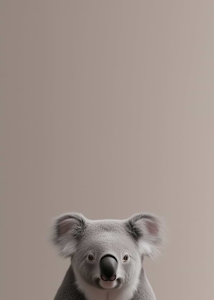 Koala Portrait