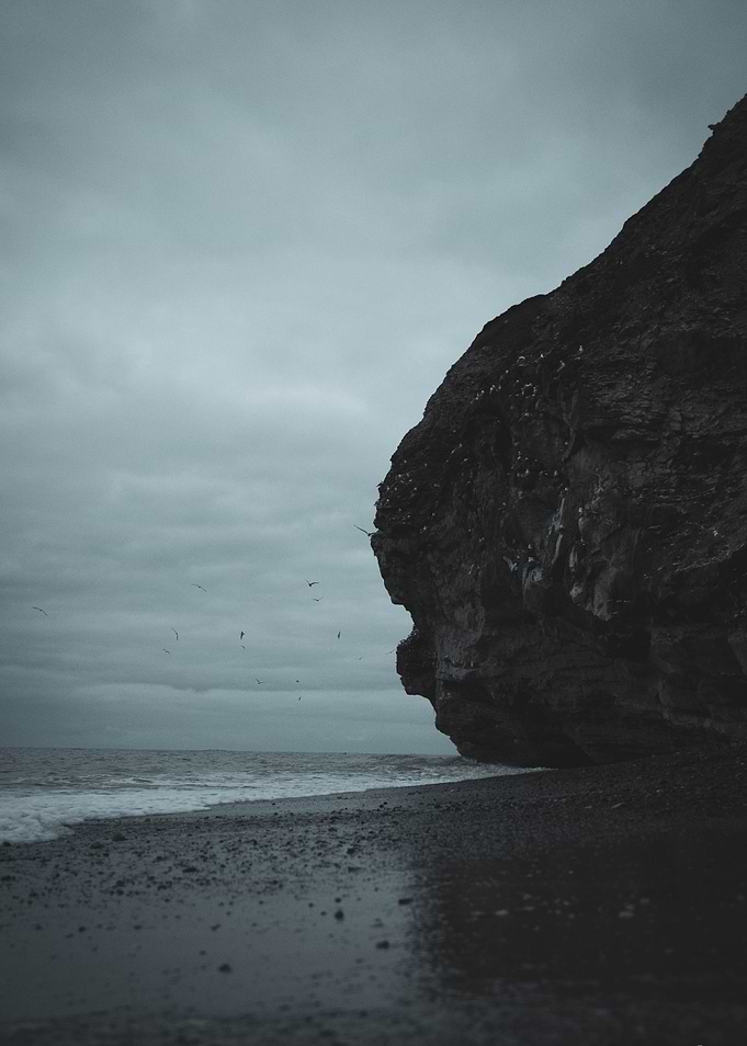 Sea Cliff and Birds