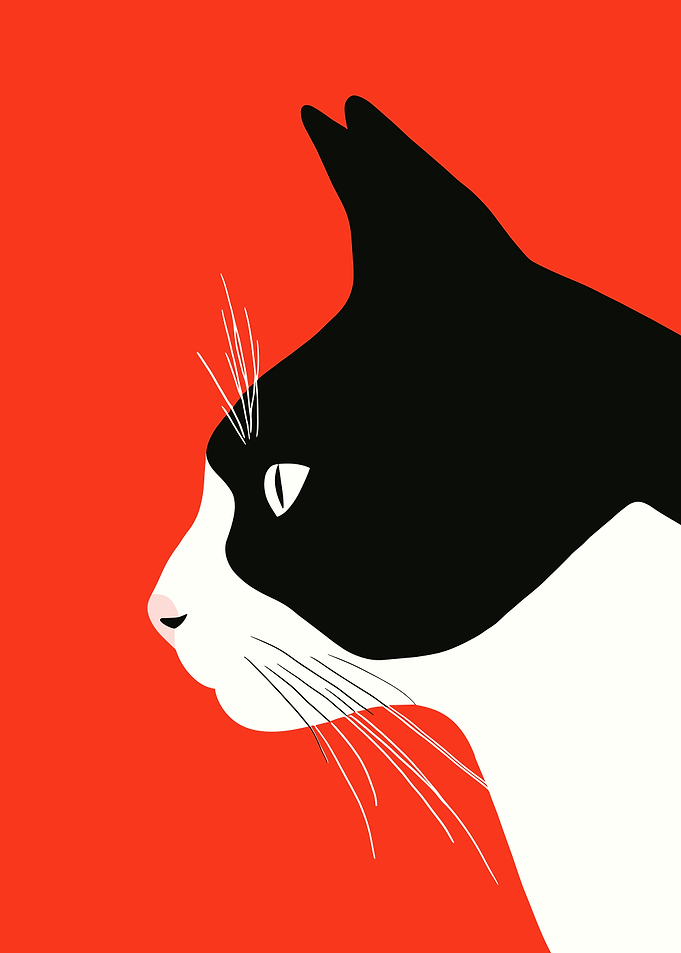 Black and White Cat Profile