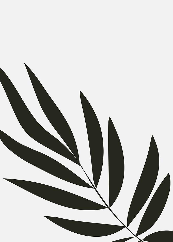 Black and White Leaf