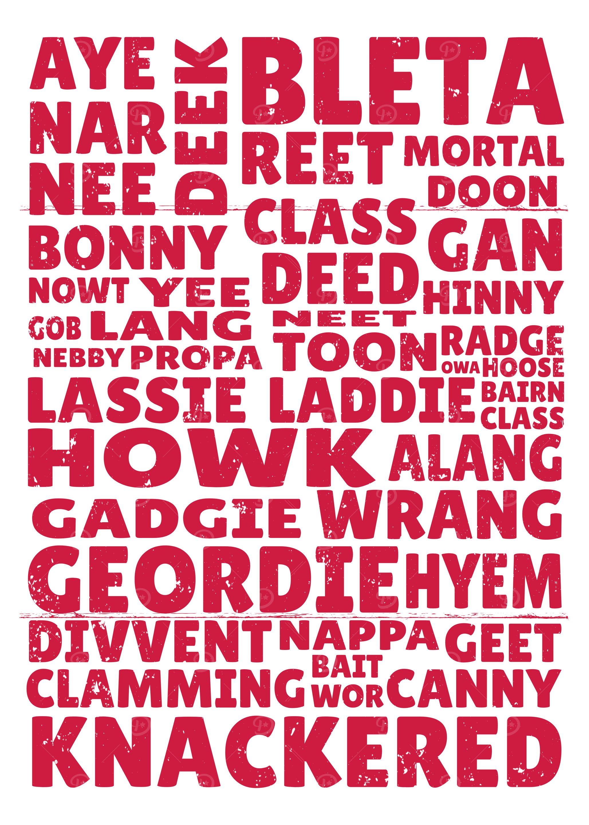 Geordie SLang