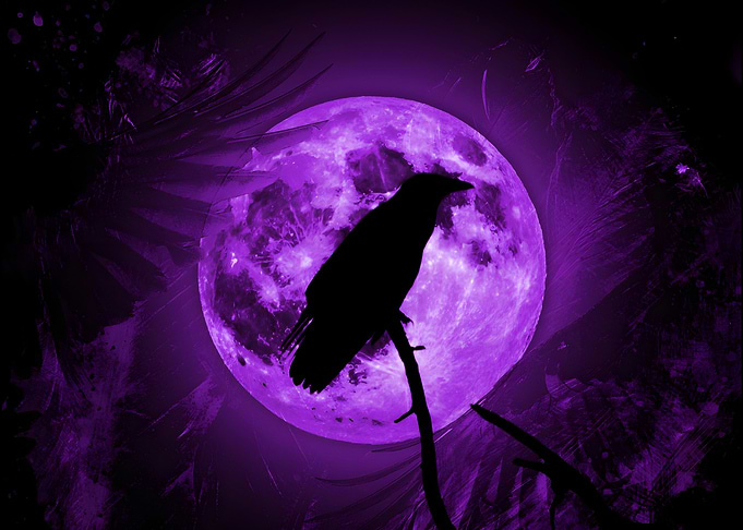 Raven and Purple Moon