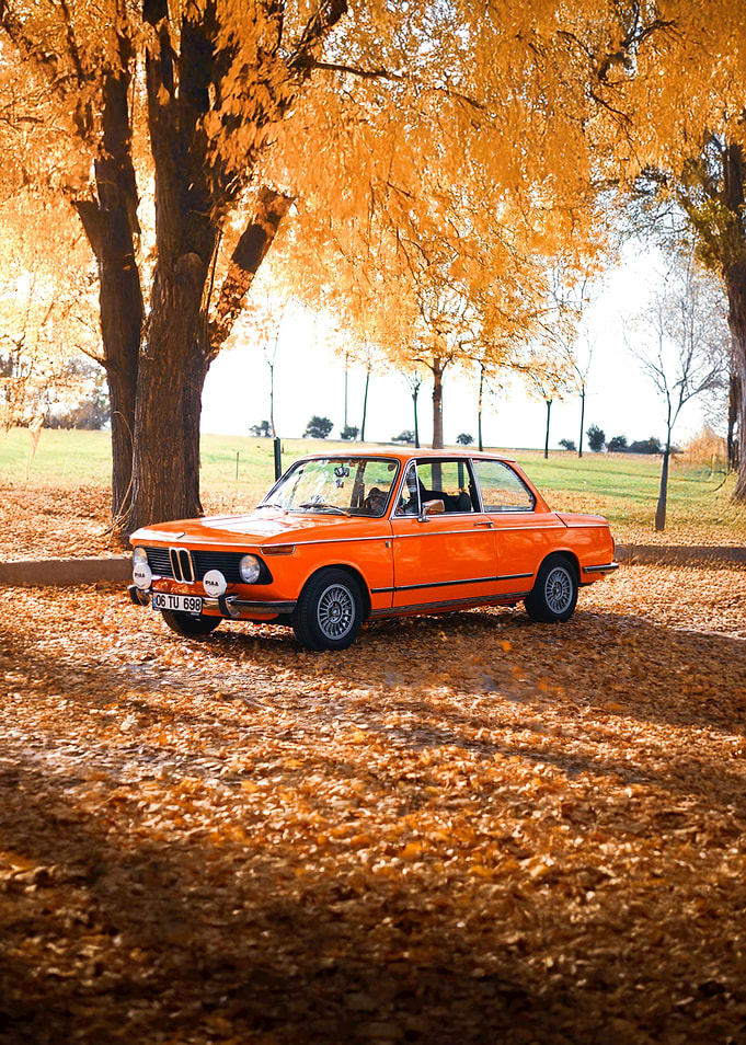 Orange BMW in Autumn