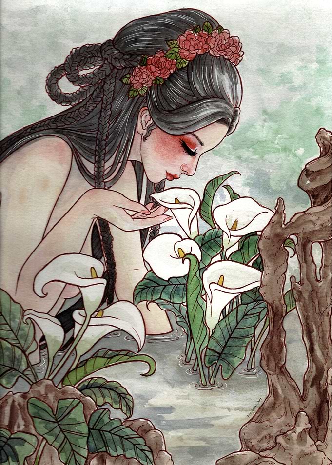 Calla Lilies