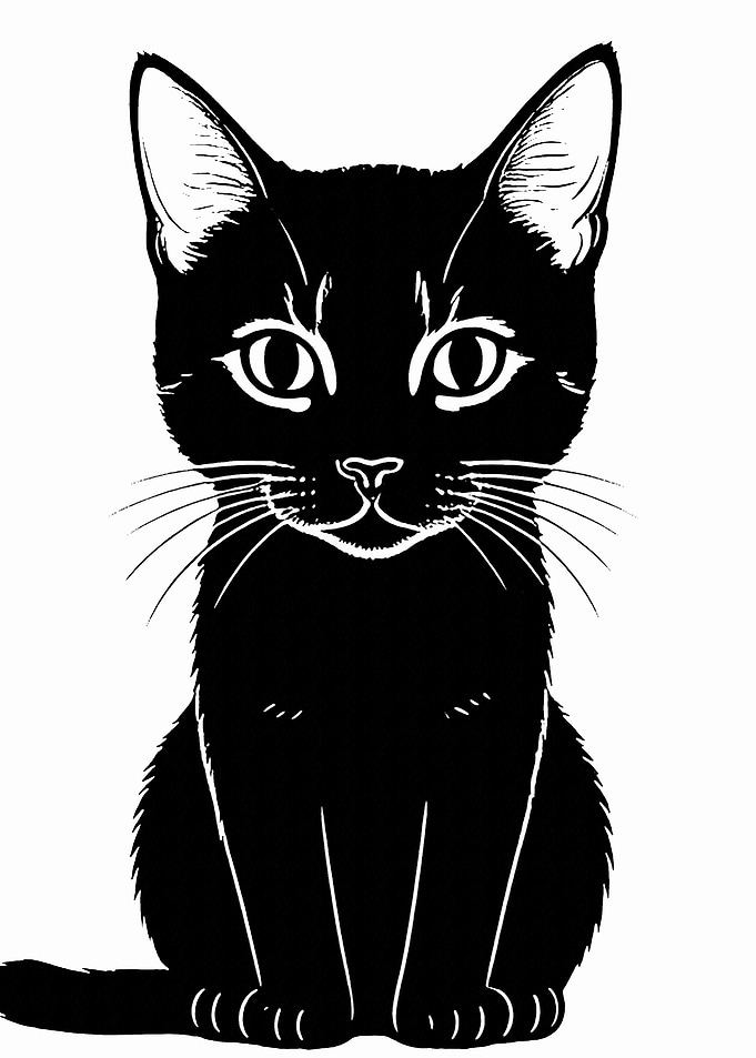 Black Cat Silhouette