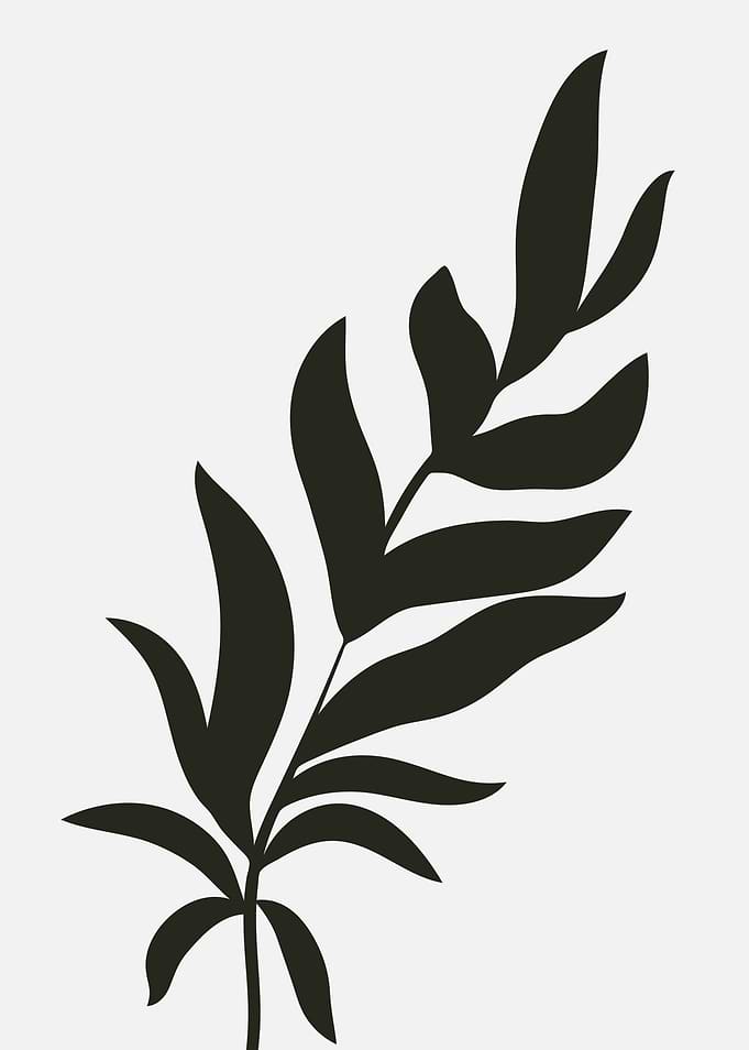 Black Leaf Silhouette