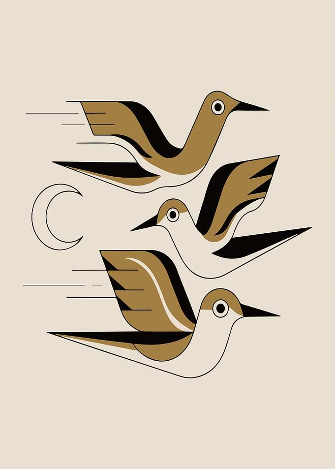 Minimalist Geometric Birds in Flight