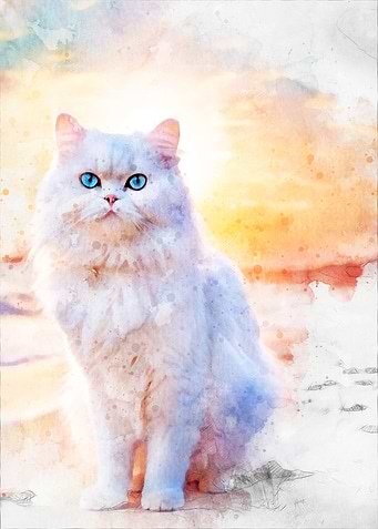 White Cat