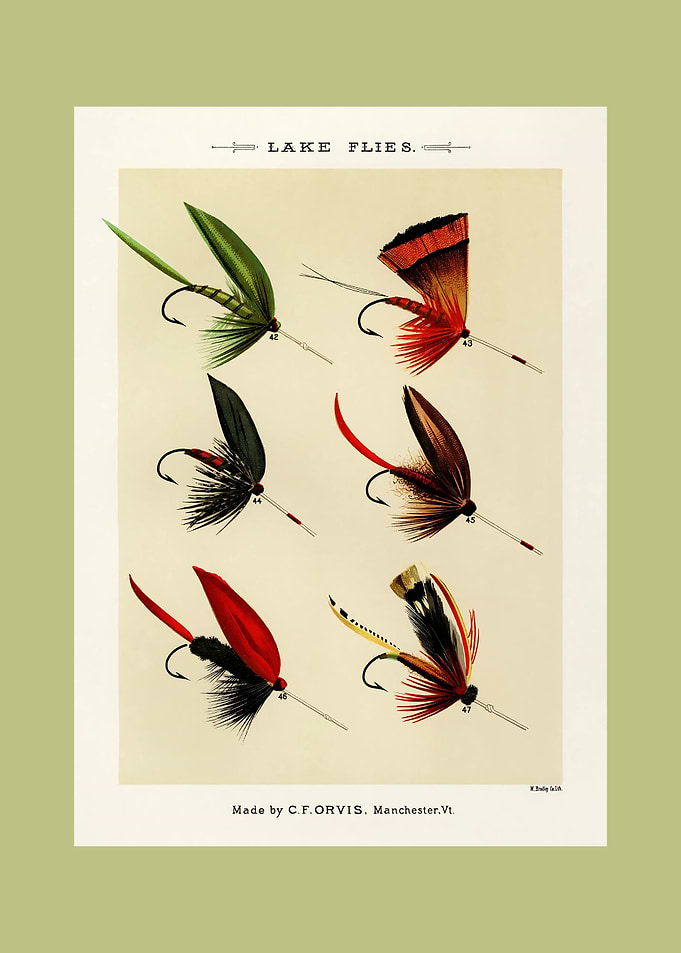 Vintage Fishing Flies Illustration