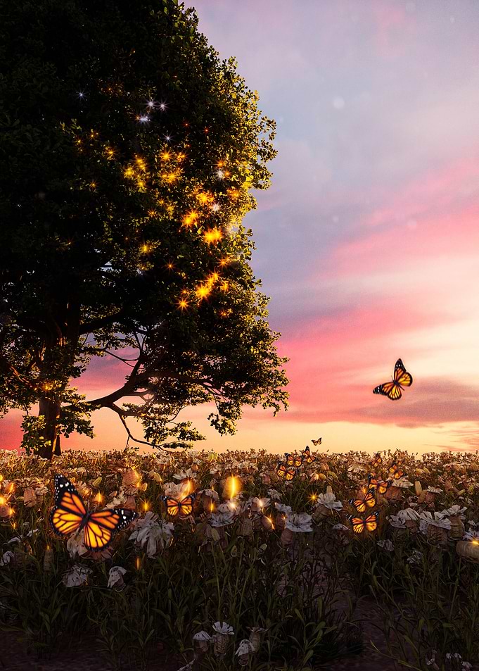 Magical Sunset Meadow