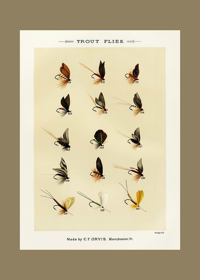 Vintage Trout Flies Chart