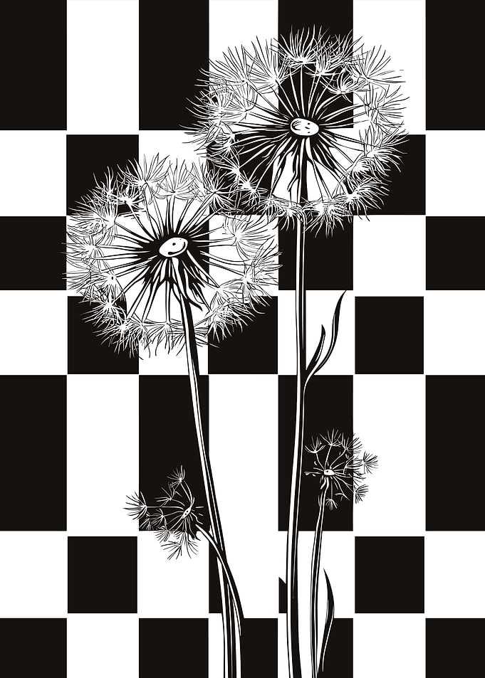 Dandelion on Checkerboard
