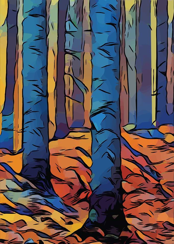 Forest Illustration