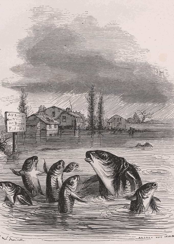 Fish in Flooded Village