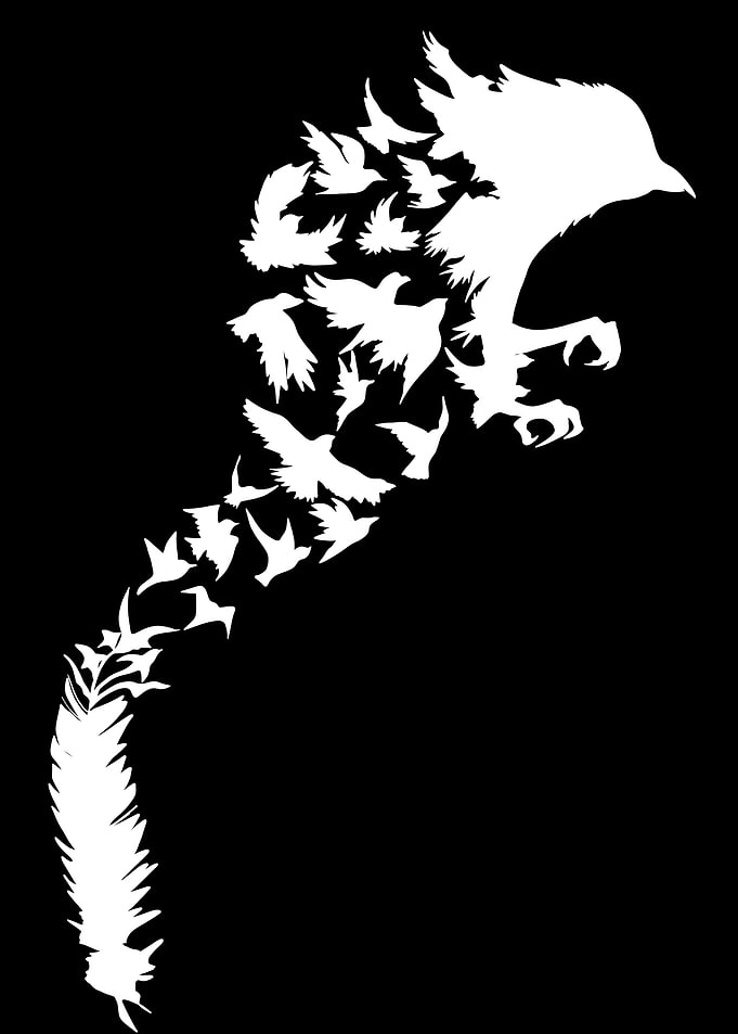 Bird Silhouette Transformation