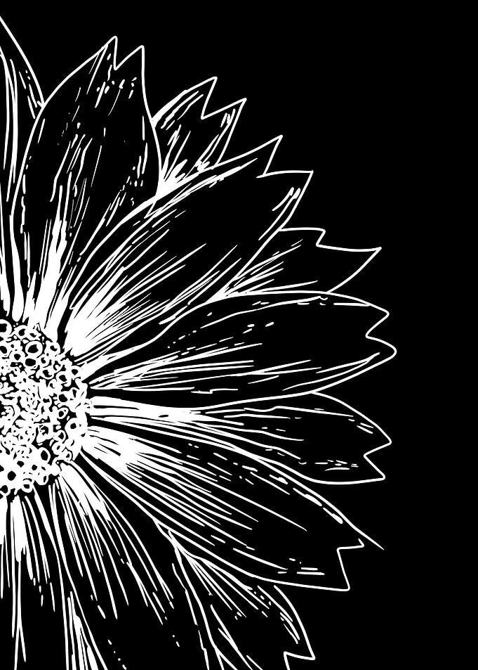 Black and White Flower Illustration