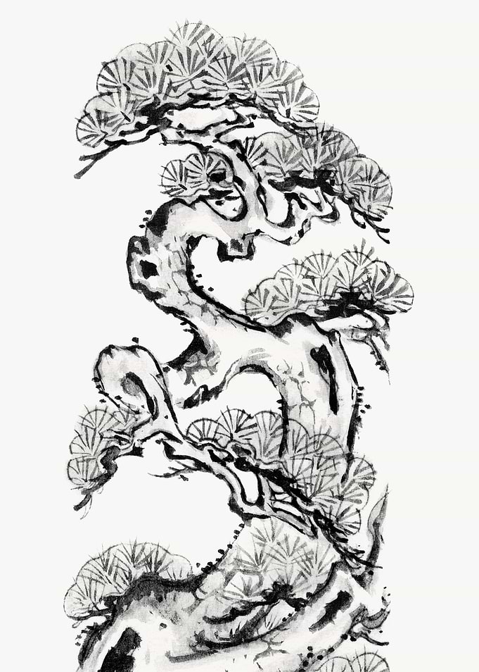 Black and White Pine Tree