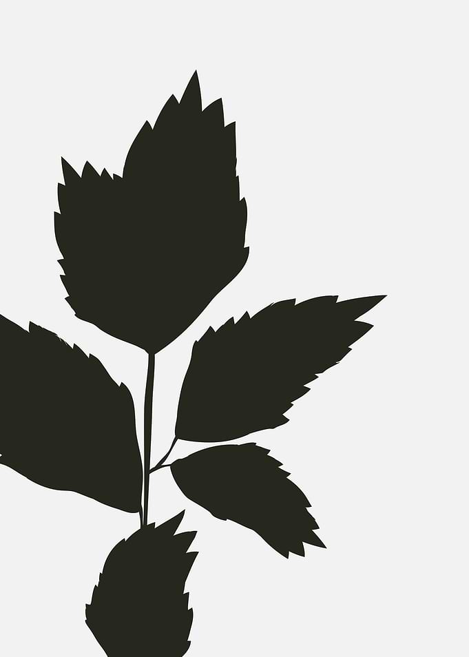 Black Leaf Silhouette