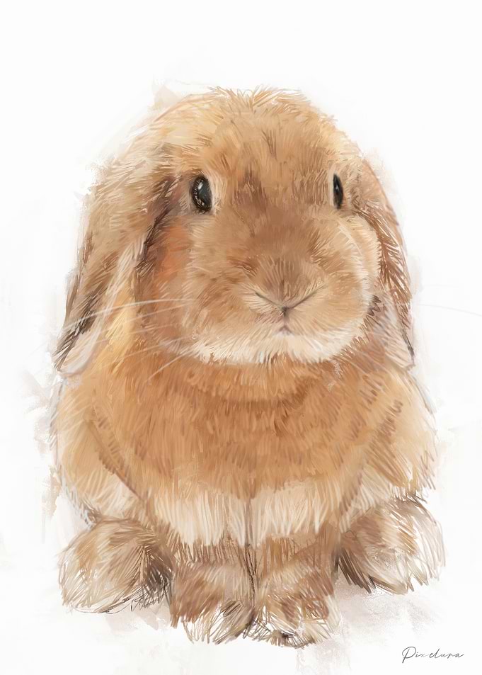 Cute Brown Rabbit