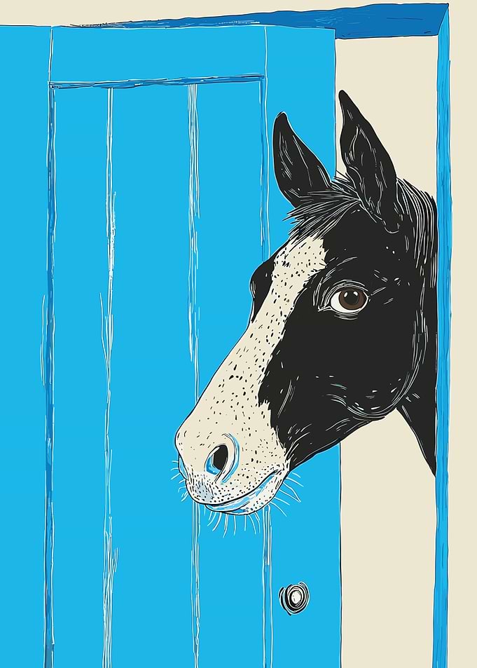 Horse Peeking Through Door
