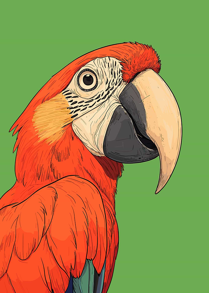 Scarlet Macaw Portrait