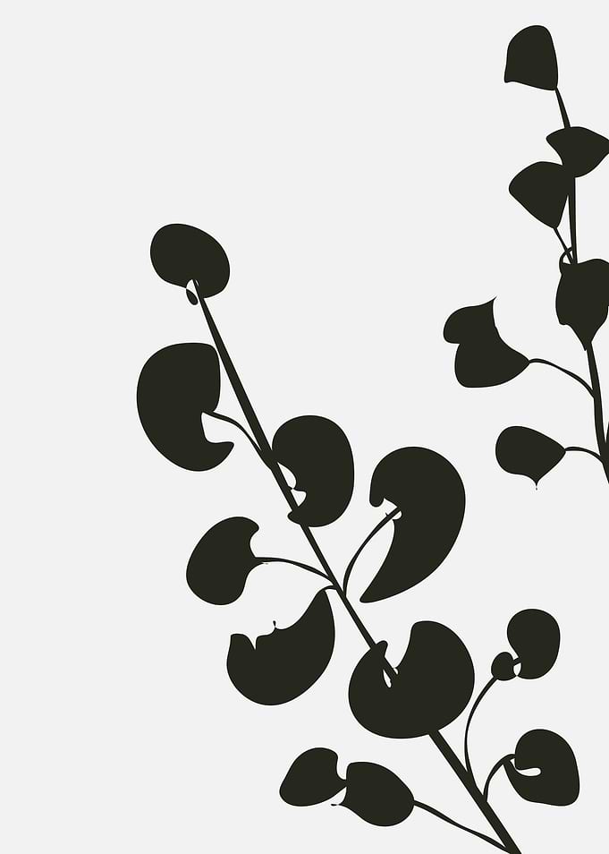 Black and White Floral Silhouette