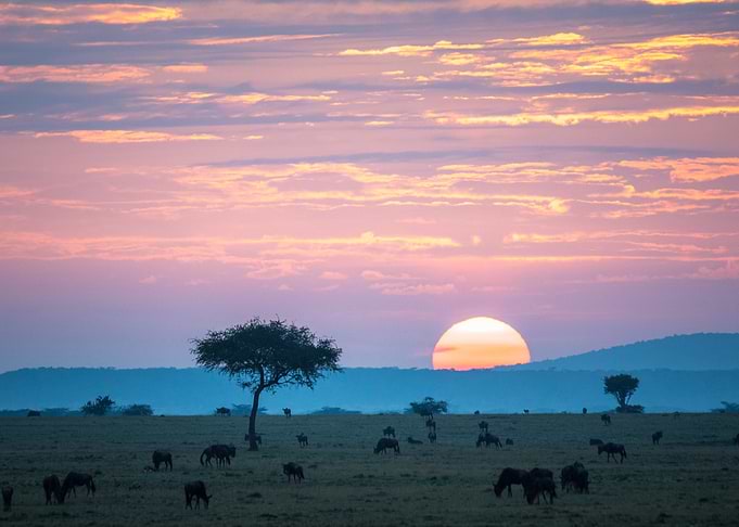 African Sunset Landscape