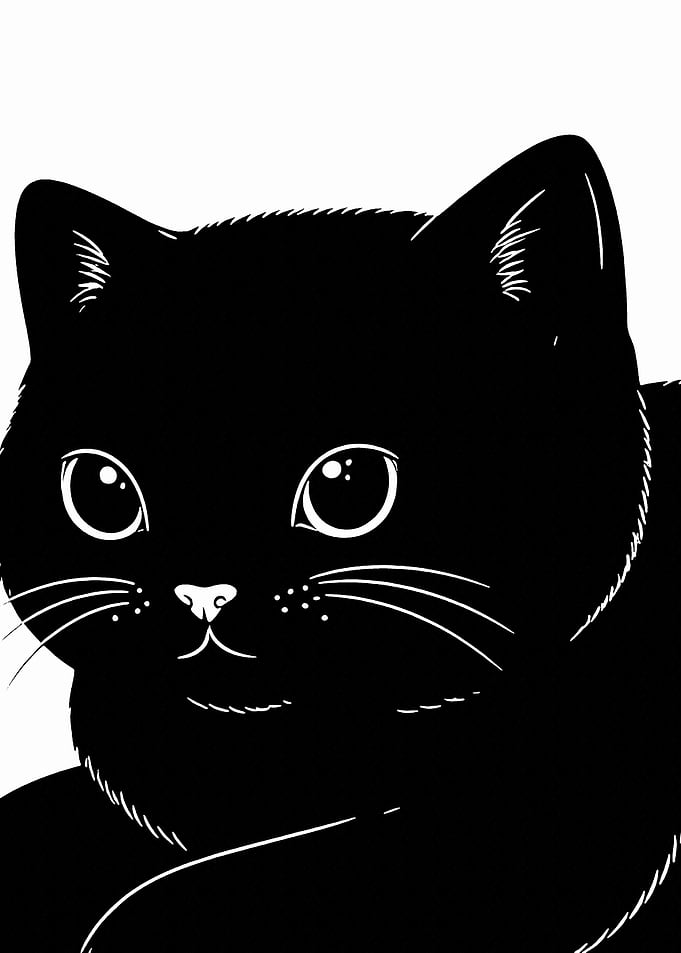 Black Cat Silhouette
